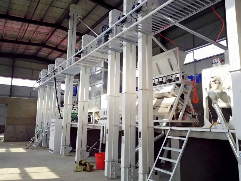 河南平頂山30噸大米成套加工設(shè)備安裝完畢