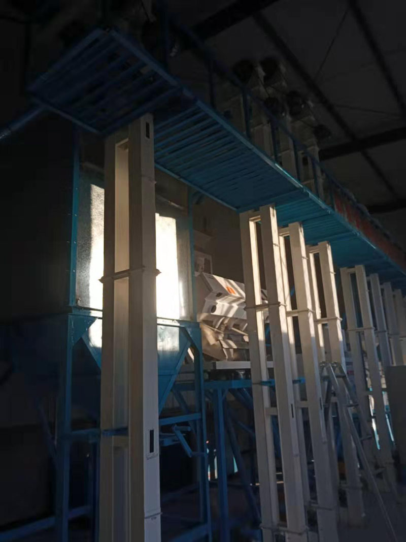 河北張家口市萬全縣20噸小米成套加工設備安裝調(diào)試完畢